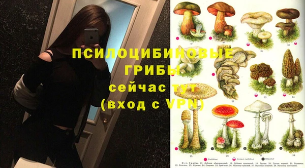 прущая мука Новозыбков